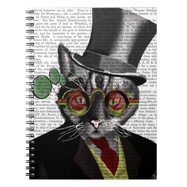 Steampunk Cat - Top Hat and red yellow glasses Notebook (Front)