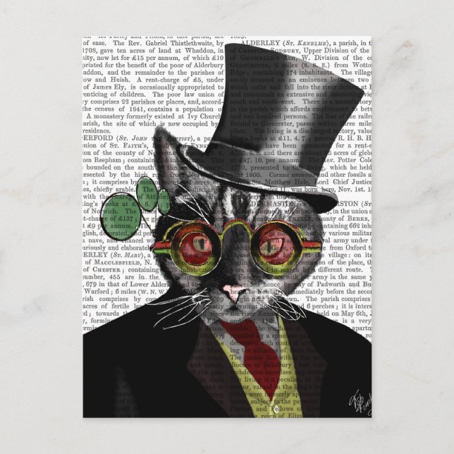Steampunk Cat - Top Hat and red yellow glasses Postcard (Front)