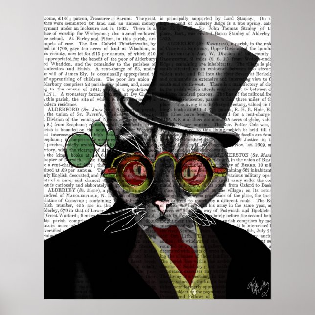 Steampunk Cat - Top Hat and red yellow glasses Poster (Front)