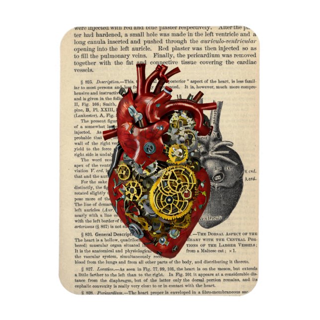 Steampunk Human Heart Anatomy Sci Fi Art  Magnet (Vertical)