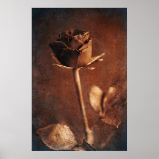 Steampunk Rose Poster