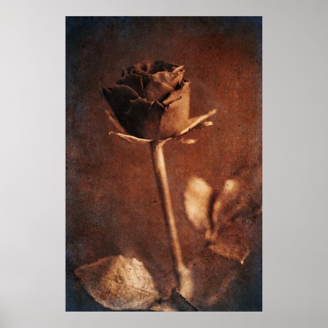 Steampunk Rose Poster (Front)