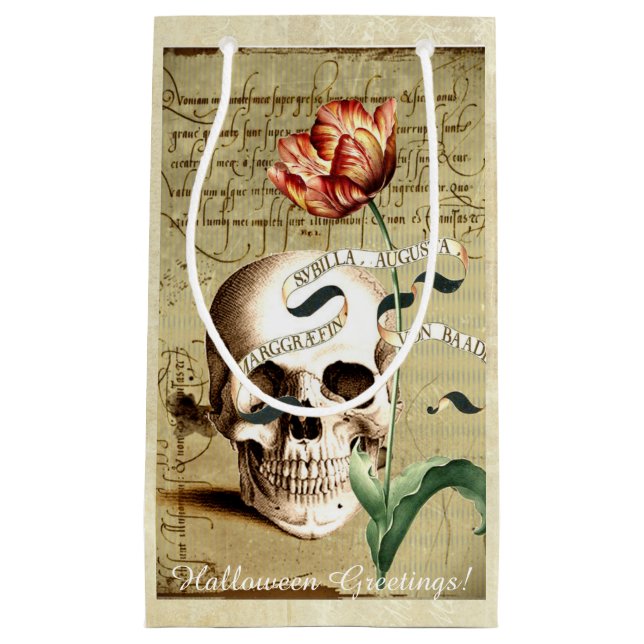 Steampunk Skull Floral Writing Halloween Gift Bag (Front)