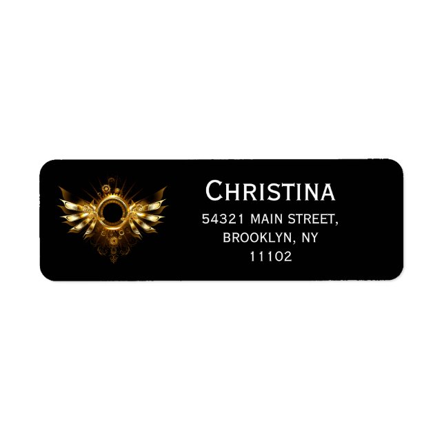 Steampunk wings (Front)