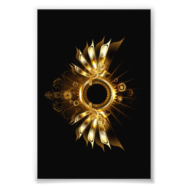 Steampunk wings photo print (Front)