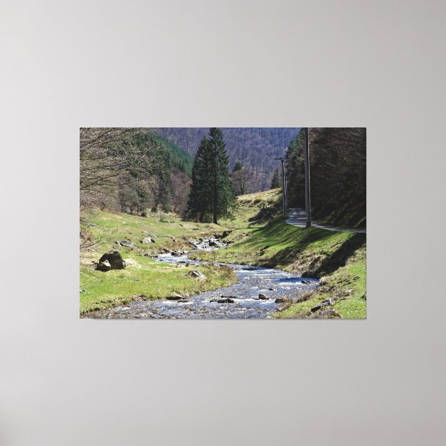 Steaza river near Sibiu Canvas Print (Front)