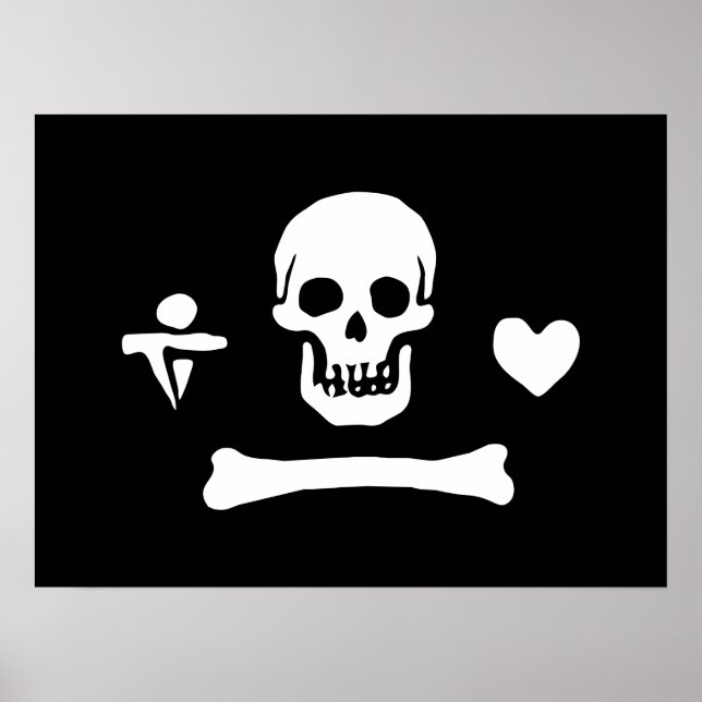Stede Bonnet Pirate Flag Jolly Roger Poster (Front)