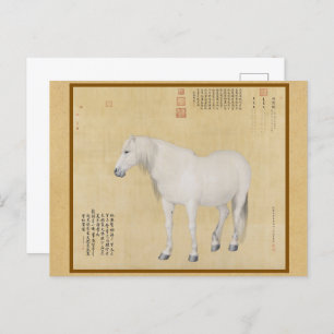 Steed - A Horse Named Benxiaocong Chinese Fine Art Postcard