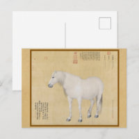 Steed - A Horse Named Benxiaocong Chinese Fine Art