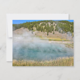 Steel Bridge Pool, Yellowstone National Park Postcard