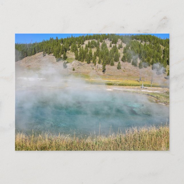 Steel Bridge Pool, Yellowstone National Park Postcard (Front)