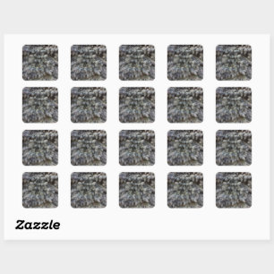 Steel, grey, green and blue spruce classy medium square sticker
