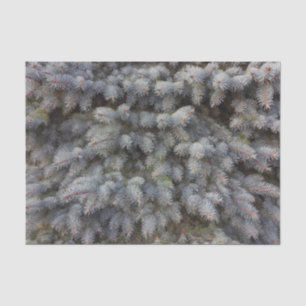 Steel, grey, green and blue spruce classy tissue paper