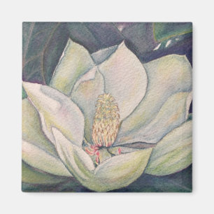 Steel Magnolia Magnet
