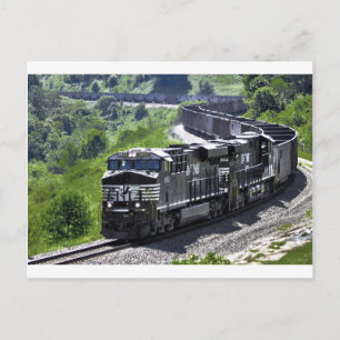 Steel Snake Postcard