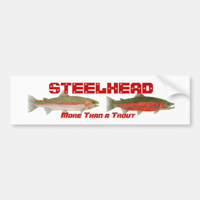 Steelhead Bumper Sticker (Front)