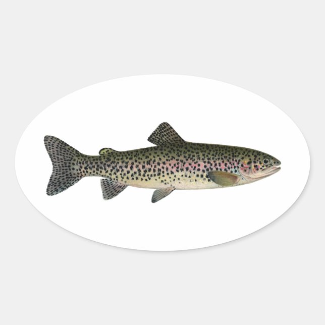 Steelhead (Great Lakes) Oval Sticker (Front)