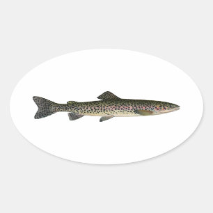 Steelhead (Great Lakes) Oval Sticker