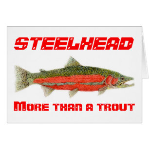 Steelhead- More than a trout Card