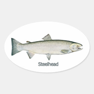 Steelhead (Rainbow Trout) Oval Sticker