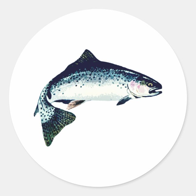 Steelhead Swimming Classic Round Sticker (Front)