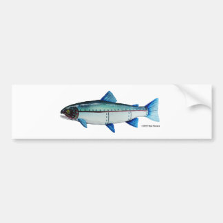 Steelhead Trout; Bumper Sticker