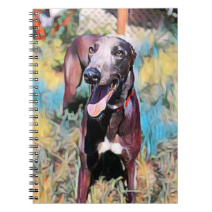 Steely Notebook