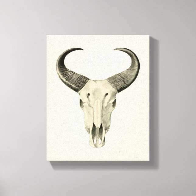 Steer Skull Canvas Print (Front)