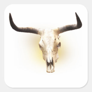 steer skull sticker