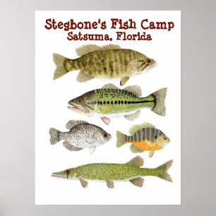 Stegbone's Fish Camp Poster