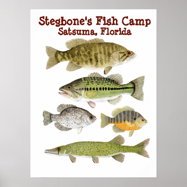 Stegbone's Fish Camp Poster (Front)
