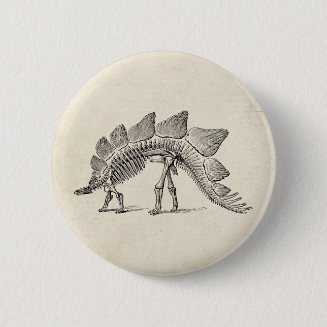 Stegosaurus Dinosaur Skeleton Fossil 6 Cm Round Badge (Front)