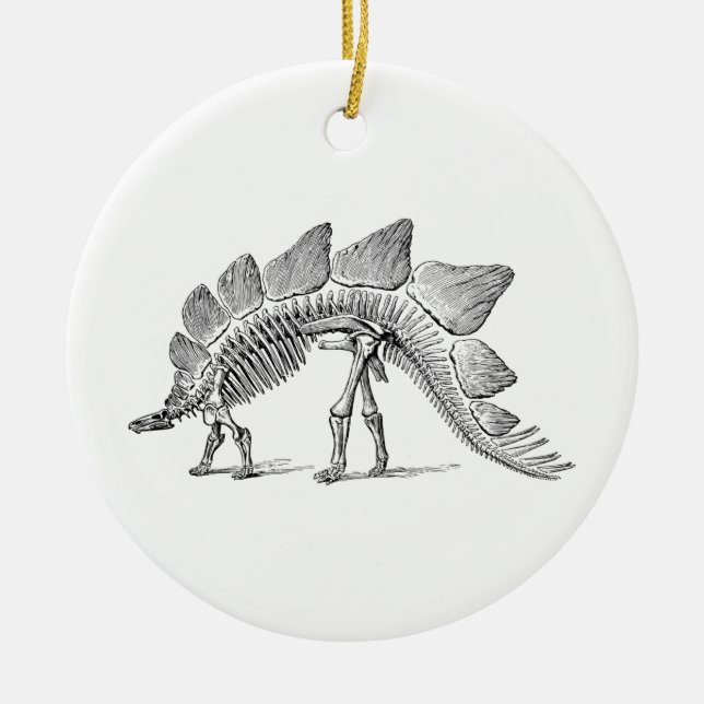 Stegosaurus Dinosaur Skeleton Fossil Ceramic Tree Decoration (Front)