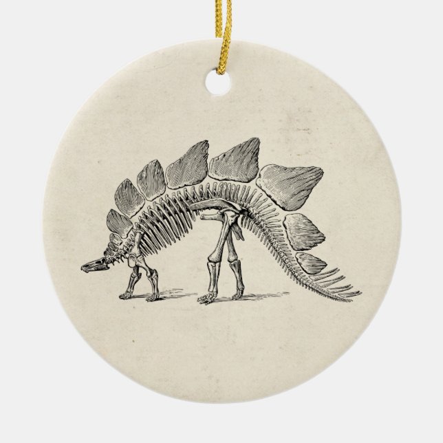 Stegosaurus Dinosaur Skeleton Fossil Ceramic Tree Decoration (Front)