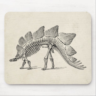 Stegosaurus Dinosaur Skeleton Fossil Mouse Mat