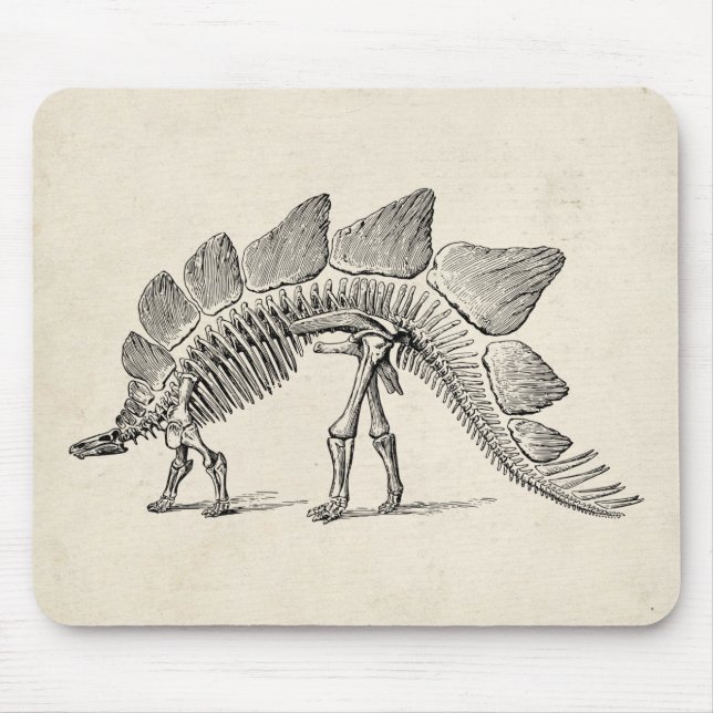 Stegosaurus Dinosaur Skeleton Fossil Mouse Mat (Front)