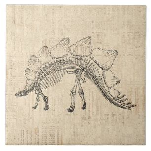 Stegosaurus Dinosaur Skeleton Vintage Script Paper Tile