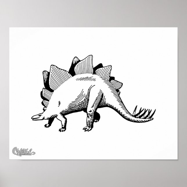 Stegosaurus Poster (Front)
