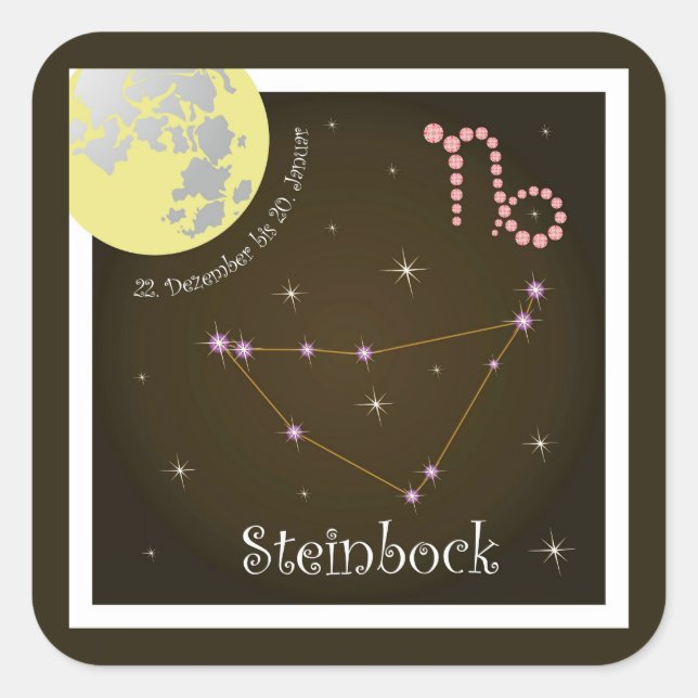 Steinbock 22 December to 20 January sticker (Front)