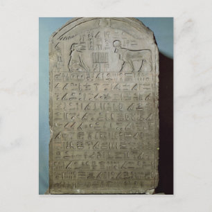 Stela commemorating the burial of the Apis Postcard