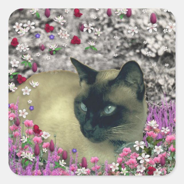 Stella in Flowers I – Chocolate Cream Siamese Cat Square Sticker (Front)