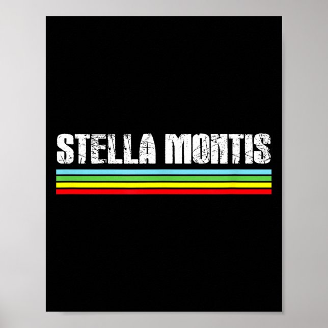 Stella Montis Map Game Esrts  Poster (Front)
