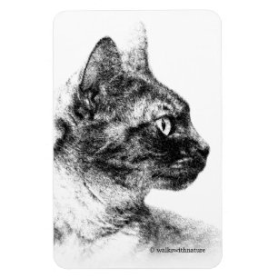 Stella the Grey Cat Magnet