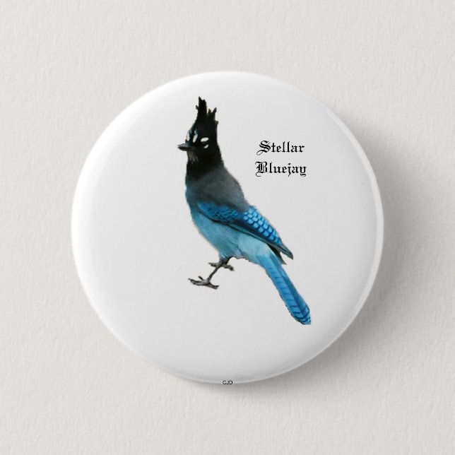 Stellar Blue Jay button (Front)