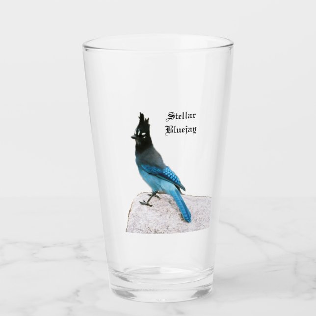 Stellar Blue Jay glass (Front)