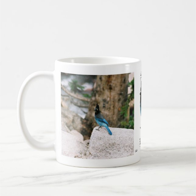 Stellar Blue Jay mug (Left)