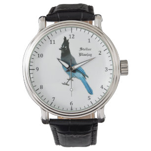 Stellar Blue Jay watch