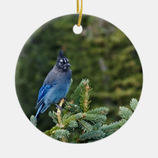 "Stellar Jay" Ceramic Tree Decoration