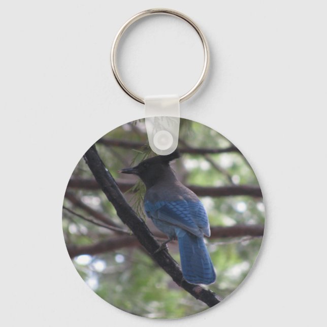 Stellar Jay- Yosemite Key Ring (Front)