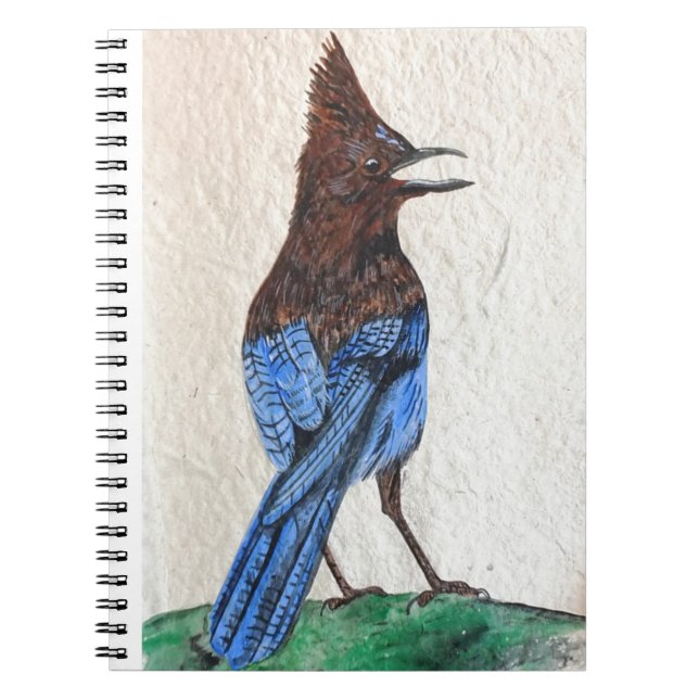 "Stellar" Notebook (Front)